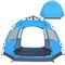 HAP Windproof Waterproof 2 - 3 Person Automatic Pop Up Camping Tent